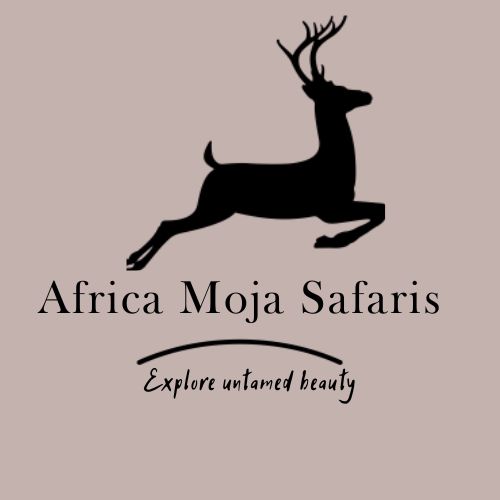 Africa Moja Safaris