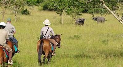 horse back safaris