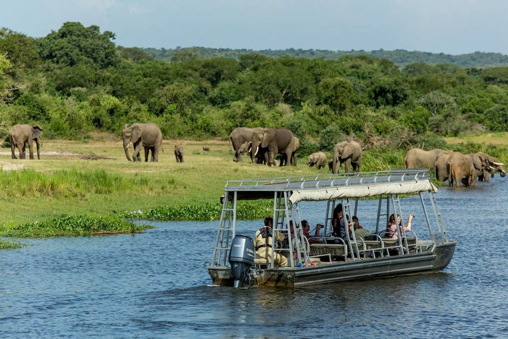 Murchison falls