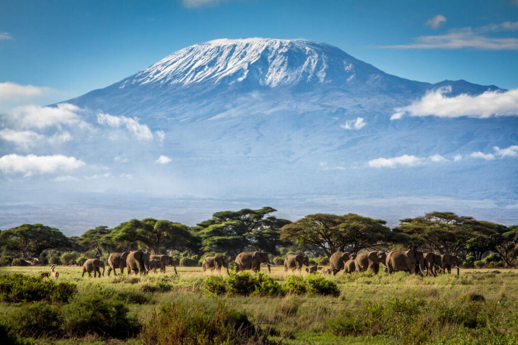 Mount Kilimanjaro