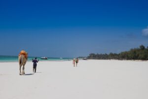 Diani beach