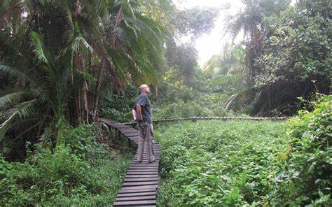 Kibale National Park