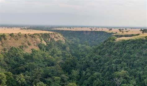 Kyambura Gorge